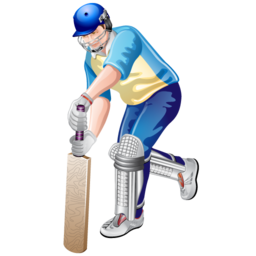 cricket icon