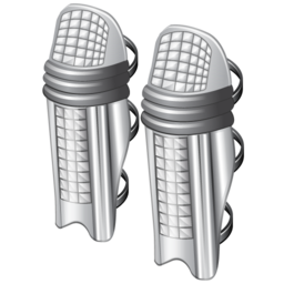 cricket_pad icon