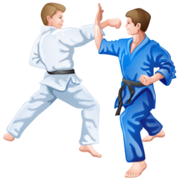 judo icon