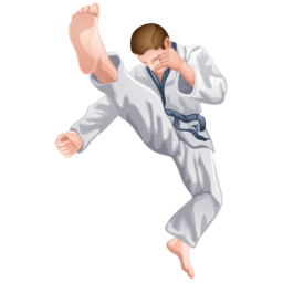 karate icon