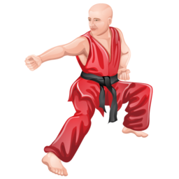 shaolin_kung_fu icon