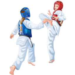 taekwondo icon