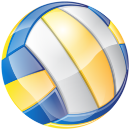 volleyball icon