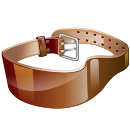 weight_lifting_belt icon