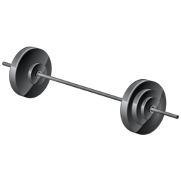 weights icon
