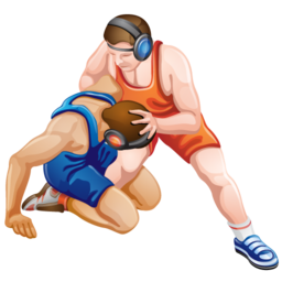 wrestling icon