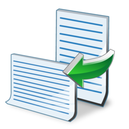 orientation icon