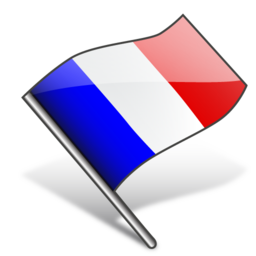 flag_france icon