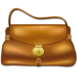 purse icon
