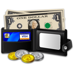 salary icon