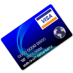 visa icon