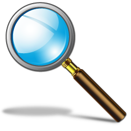 zoom icon