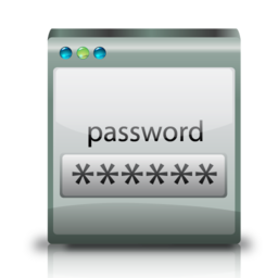 password icon