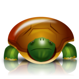 turtle icon