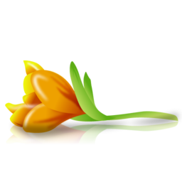 withered_flower icon
