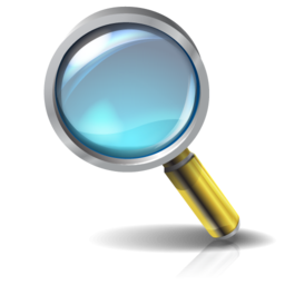 zoom icon