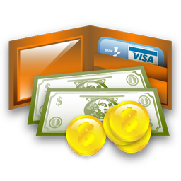 salary icon