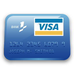 visa icon