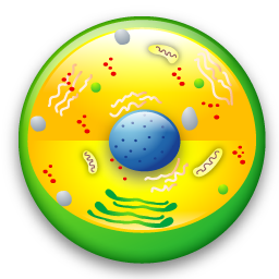 biology icon
