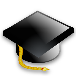 graduation icon