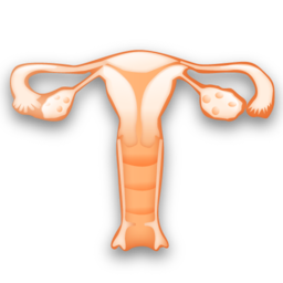 gynecology icon