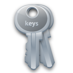 keys icon