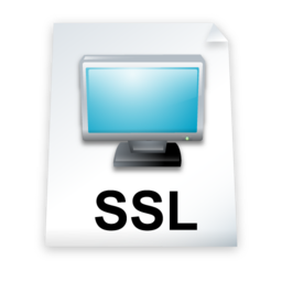ssl icon