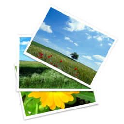 gallery icon