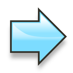 next icon