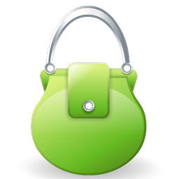purse icon
