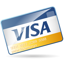 visa icon