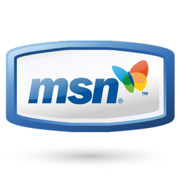 msn icon