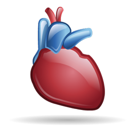 cardiology icon