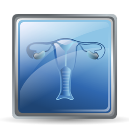 gynecology icon