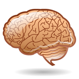 neurology icon