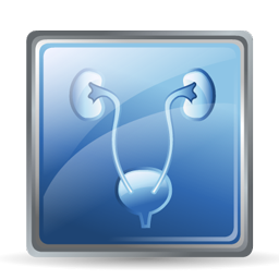 urology icon