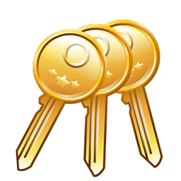 keys icon