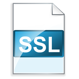 ssl icon