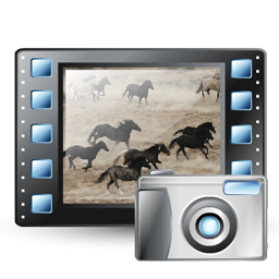 snapshot_video icon