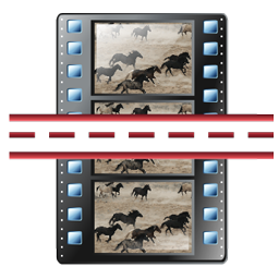 split_scene icon