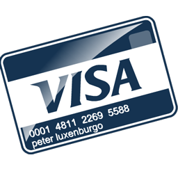 visa icon