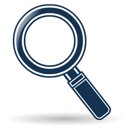 zoom icon
