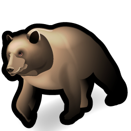 bear icon