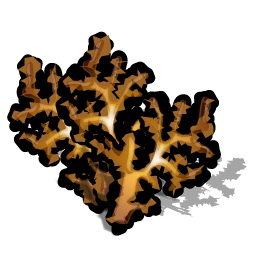 coral icon
