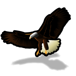 eagle icon