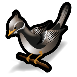 flycatcher_bird icon