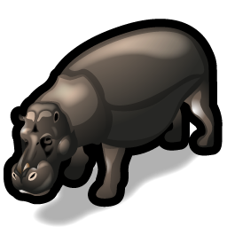 hippo icon