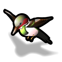 hummingbird icon
