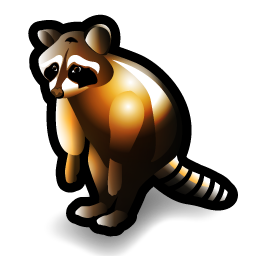 raccoon icon