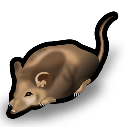 rat icon